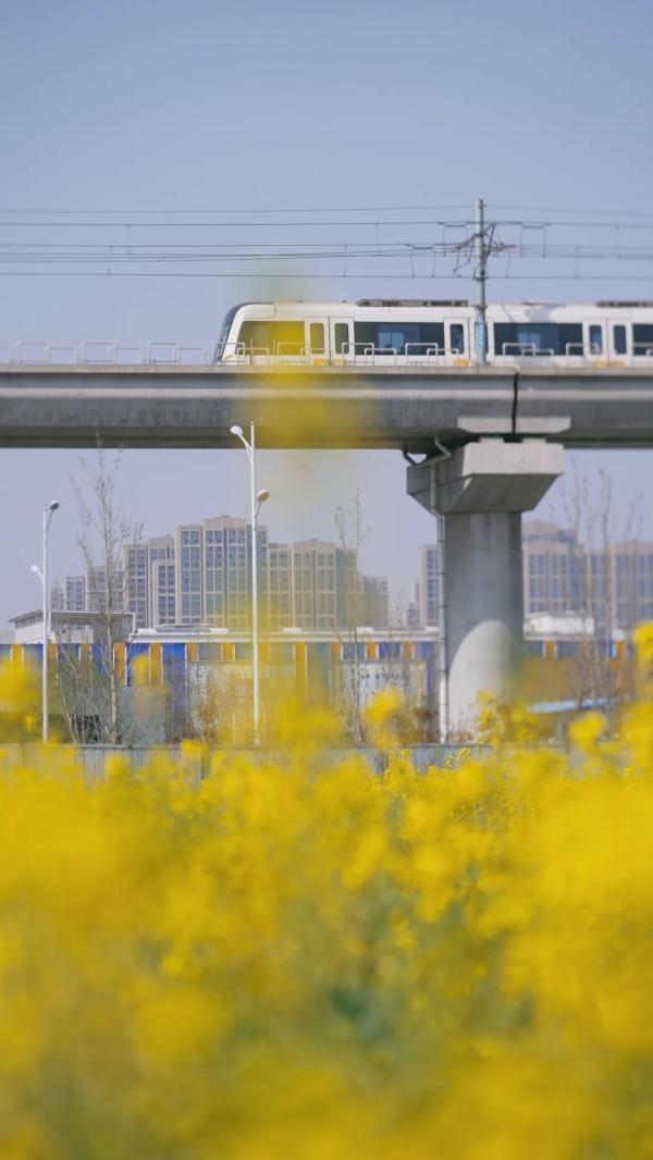 微信图片_20240805174720(1).jpg